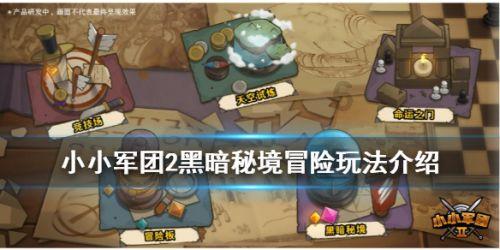 健美大赛
