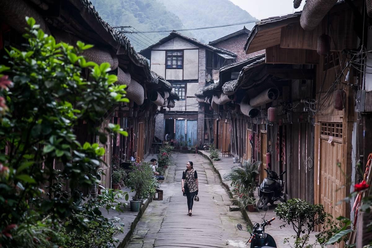 数码宝贝8